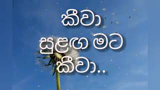 Keewa - BnS ft Uresha \u0026 Umara (Lyrics)