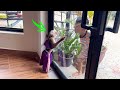 First Time Judee &amp; Vireakboth Have A Fun Frolicking Gesture Play Over Mirror