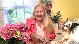 ARIES - WOW. This Changes EVERYTHING! & I MEAN EVERYTHING. Tarot 2026