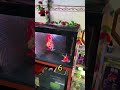 Trùm cuối kích đỏ #xuhuongyoutube #planetaquarium