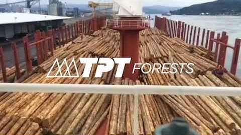 Berge Hallasan Loading