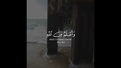 قرآن كريم بصوت القارئ طارق محمد تلاوة مؤثر ارح قلبك 💚🌿حالة واتس إسلامية /استوري انستغرام