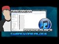 Descargar Descargar Pack De Música : Twenty One Pilots | Sus Mejores Canciones! - Nat Glasbo Descargar Descargar Pack De Música : Twenty One Pilots | Sus Mejores Canciones! - Nat Glasbo