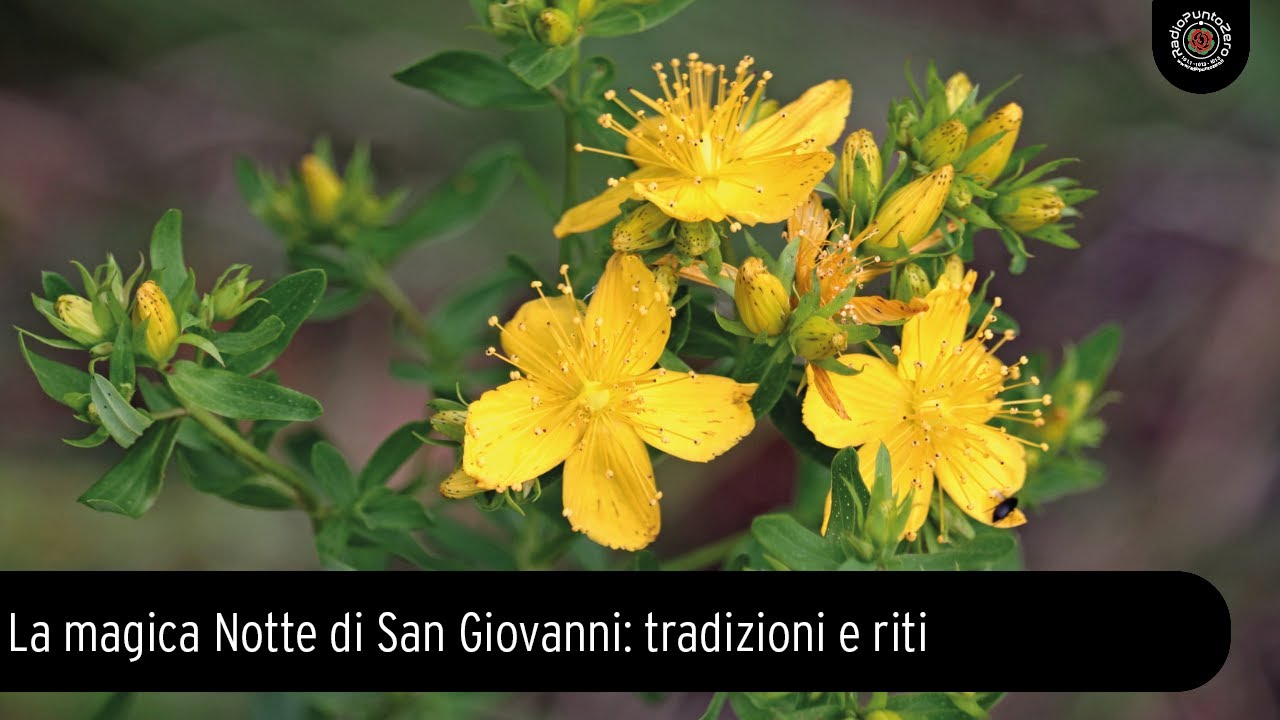 La Magica Notte Di San Giovanni Tradizioni E Riti YouTube la-magica-notte-di-san-giovanni-tradizioni-e-riti-youtube