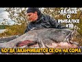 Ловля СОМА при холодной воде | #Дальке о рыбалке 10