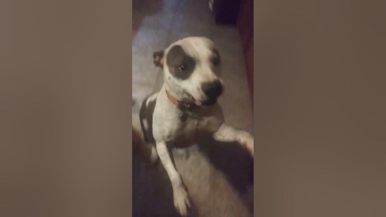 It's supposed to match your most recent video YouTube