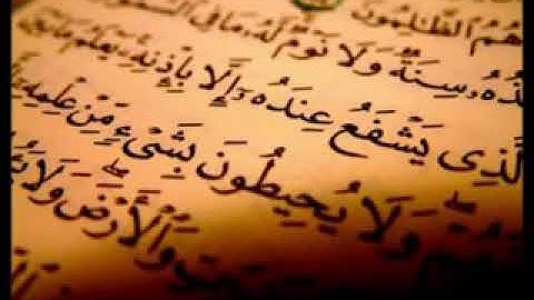 سورة القدر للشيخ محمد ايوب