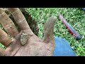 Recovering Civil War bullets from a yard.