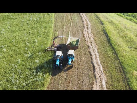 Полевые работы. Старый