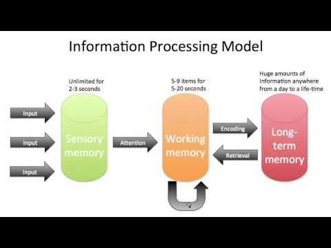 information processing model