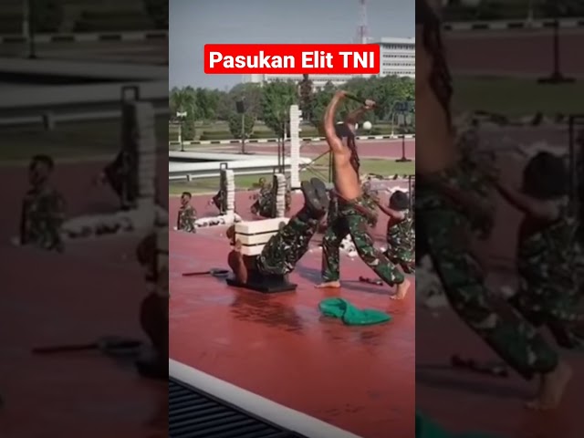 Pasukan Elit TNI #shorts #shortvideo #tni #tniad #pendidikan class=