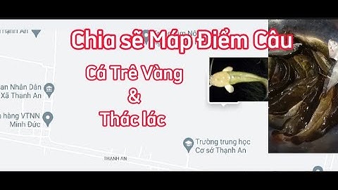 Điểm Câu Mới Thạnh Hóa/ Câu Cá Rô Trê Vàng & Thác Lác @tvchimcacanhfishing