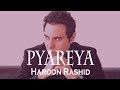 Capture de la vidéo Pyareya | Haroon Rashid | Pop Song | Lyrical Song | Gaaneshaane