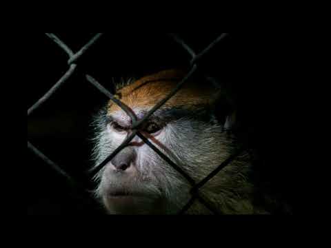 La eternidad en un instante  | Alan Munguía | TEDxPaseoSantaLucía