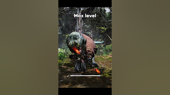 Level 1 vs Max Level gameplay in Black Myth Wukong belike: