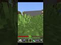 how to use elytra without rocket in minecraft bedrock  (⊙_⊙)？#minecraft #viral #insane