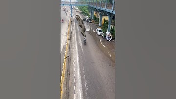 Big Anaconda Snake Chasing Bike#anacondas #bigsnake #anaconda #nagin #snakes #python #snake #shorts