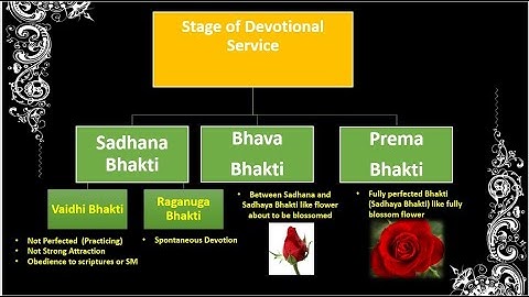 The Nectar of Instructions Verse 8