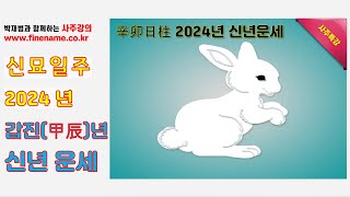 신묘일주(신묘일에 태어난 사람), 2024년 갑진년 신년운세 사주분석