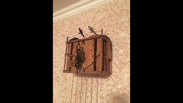 Early Quail Cuckoo clock- Test
