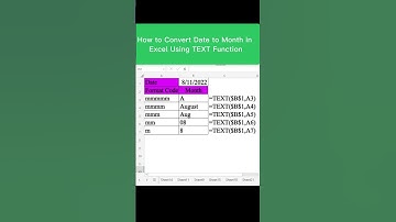 How to Convert Date to Month in Excel Using TEXT Function #shorts