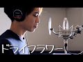 「ドライフラワー」Cover by たんたかくん