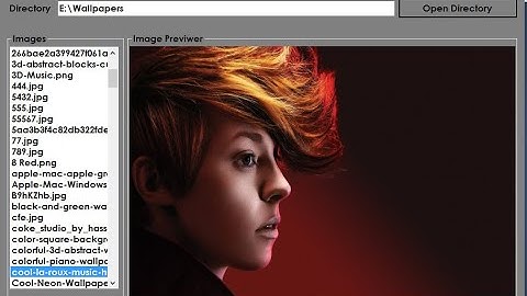 C# How to make ImageViewer In C# Step by Step With Source Code.