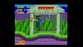 terrifying glitch thank you sonic the hedgehog rom hack