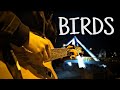 Birds | Imagine Dragons [Fingerstyle Cover]