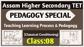 Assam Higher Secondary TET Pedagogy|Assam HS.TET Pedagogy Specia| Classical Conditioning Theory|#08