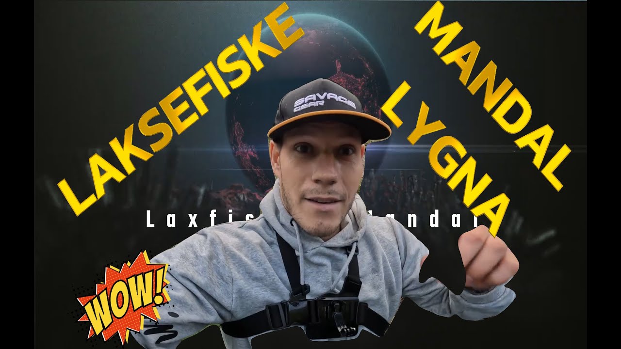 LAKSEFISKE 2025, Mandalselva og Lygna