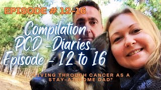 PCD - Compilation Episodes 12 to 16