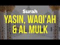 Yasin Waqiah Al Mulk