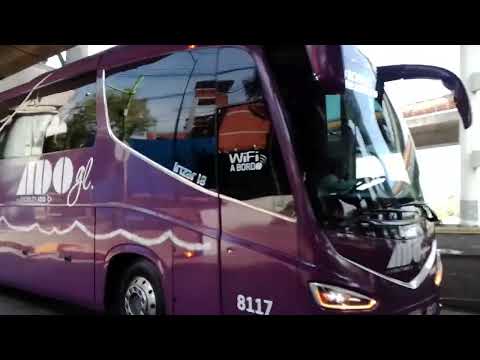 Irizar i8 ADO gl