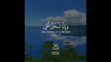 قرآن كريم بصوت القارئ هزاع البلوشي تلاوة هادئ ارح قلبك 💚🌿حالة واتس إسلامية /استوري انستغرام