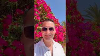 Lieblingsinsel Gran Canaria 🏝️🐬❤️
