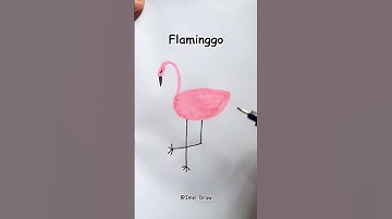 Easy Drawing Beautiful Flamingo || Satisfying Drawing Video #drawingflamingo #imeldraw #easydrawings