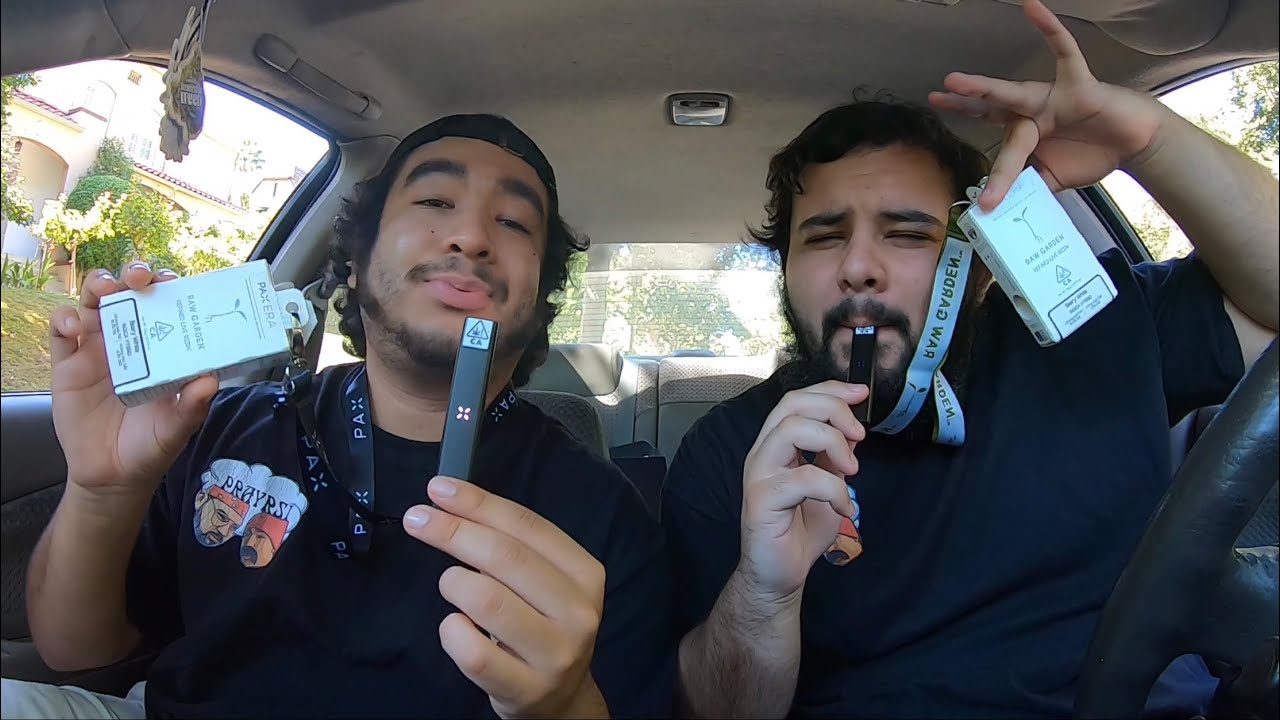 RAW GARDEN “BEARY WHITE” LIVE RESIN INDICA HYBRID PAX POD REVIEW & REACTION!