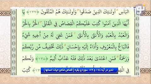 آیات 178 و 179 سوره بقره
