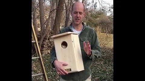 Owl House Overview and Installation