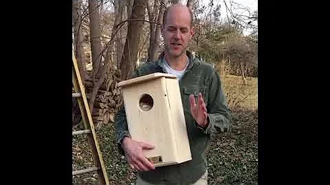 Owl House Overview and Installation