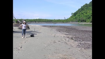 Community-based monitoring