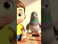 This is a Gray Bird #toddleractivities #montessoriathome #3danimation