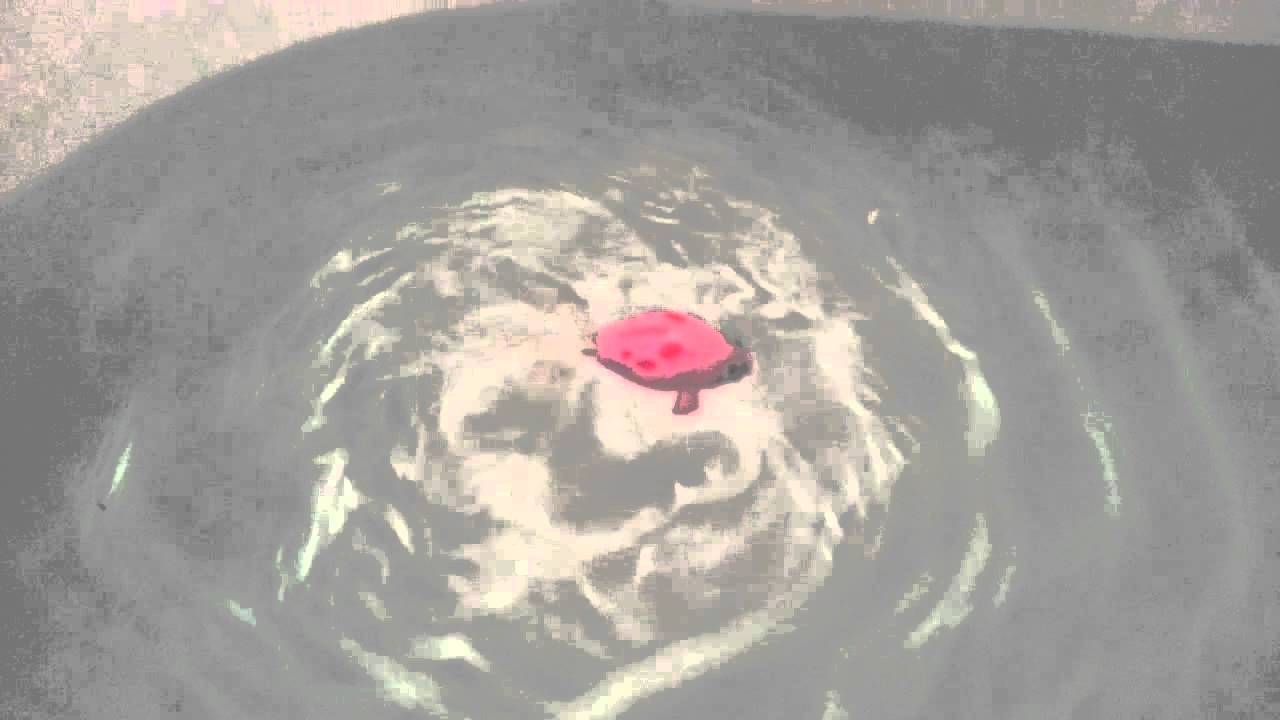 Windup Goldfish YouTube