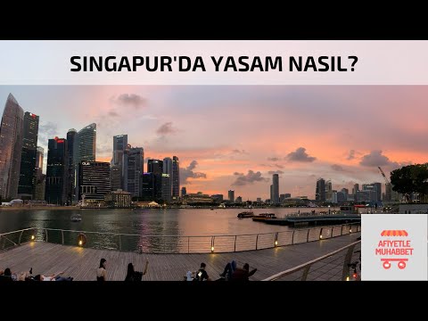 Video: Singapur'da tek çocuk politikası var mı?