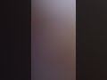 El vídeo 📹 Viral