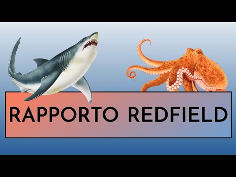 Le VERE cause delle ALGHE e dei CIANOBATTERI in acquario dolce e marino - Il Rapporto Redfield -