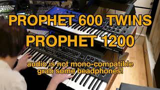 Prophet 600 twins: Prophet 1200