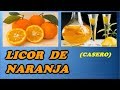 Como Hacer Licor de Naranja CASERO // Todo Huerta y Jardín