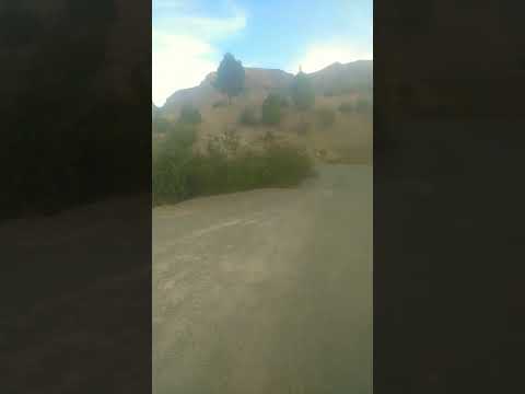   اكسبلور عشقالطبيعه    البخل الورقات 